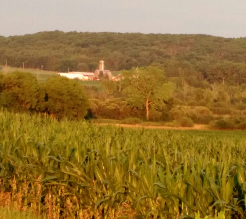 Photo Gallery Town of Wyocena, Columbia County, WI