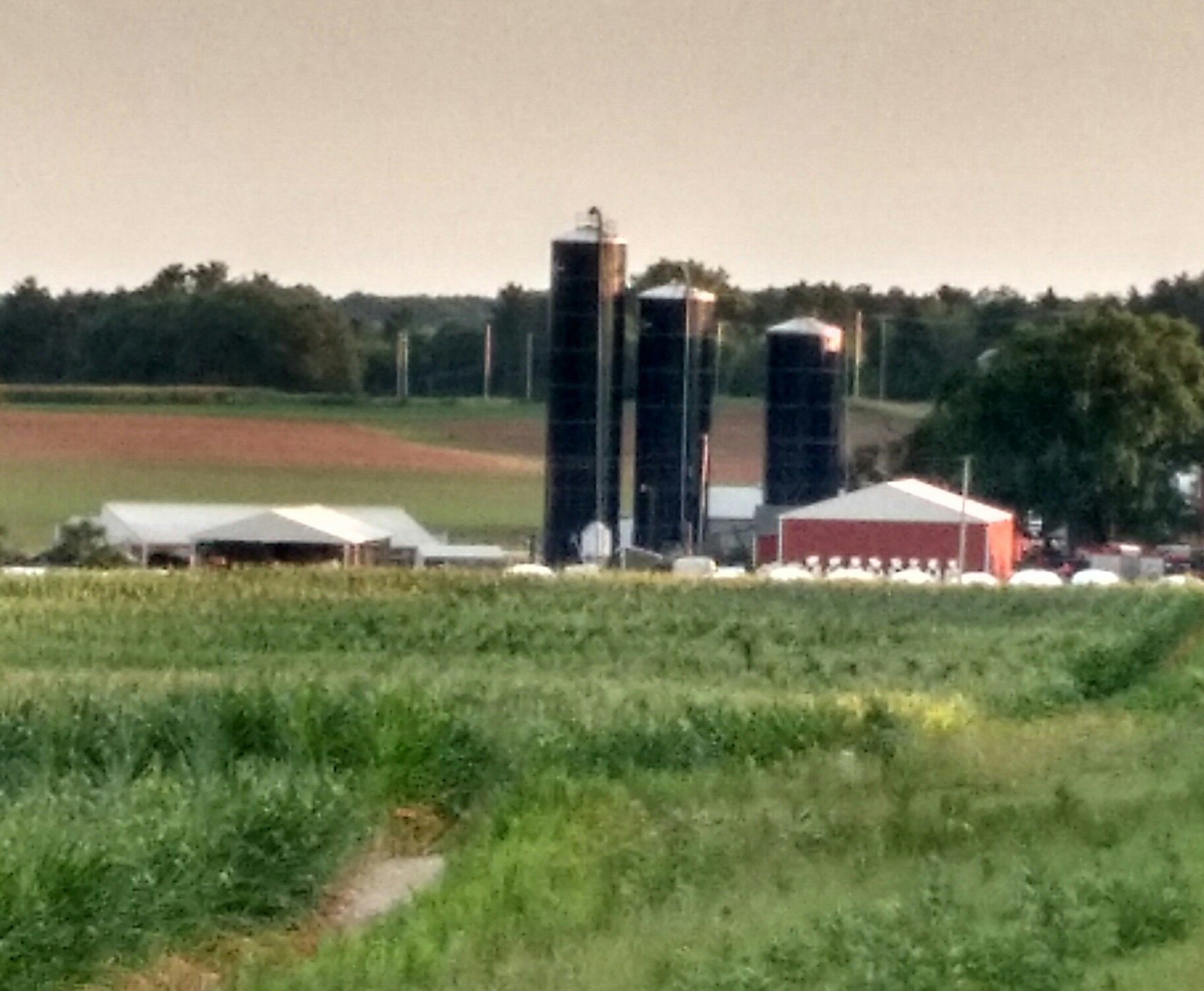 Photo Gallery Town of Wyocena, Columbia County, WI