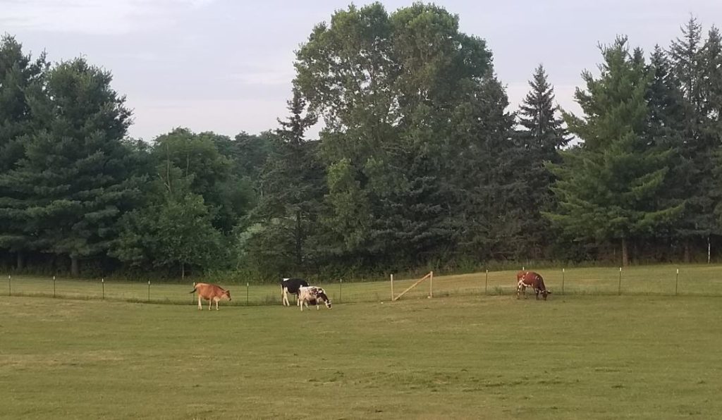 Photo Gallery Town of Wyocena, Columbia County, WI