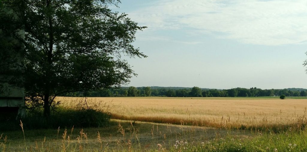 Town of Wyocena, Columbia County, WI Official site