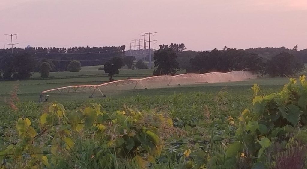 Photo Gallery Town of Wyocena, Columbia County, WI